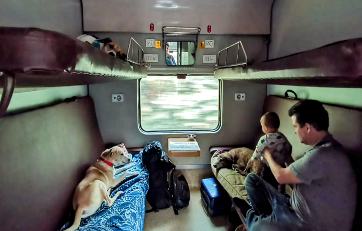How to Travel with Pets on a Train in India?